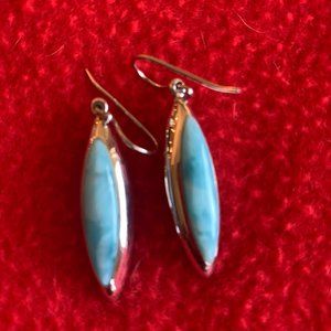 Blue Stone Sterling Silver Earrings